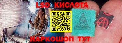 прущие грибы Донецк