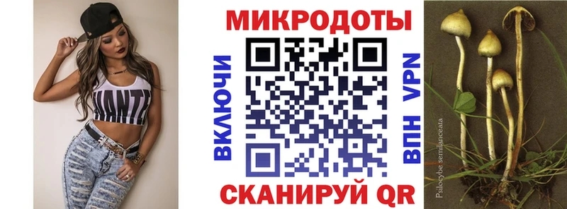 Галлюциногенные грибы GOLDEN TEACHER  магазин продажи наркотиков  Кинель 