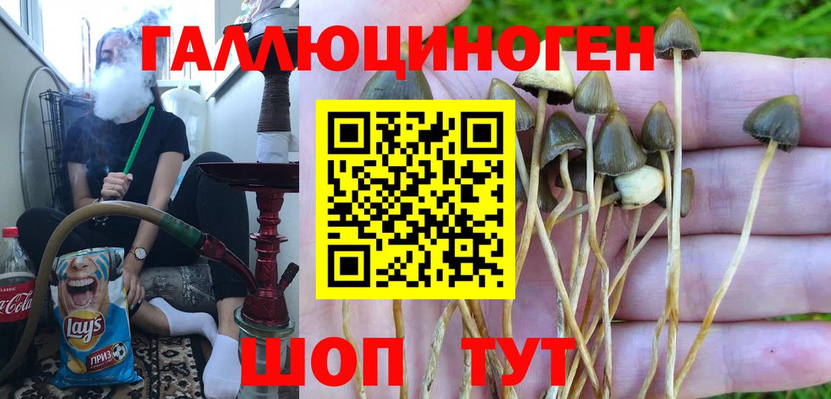 Галлюциногенные грибы GOLDEN TEACHER  Псилоцибиновые грибы Magic Shrooms  Кинель 
