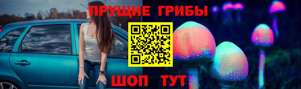 Галлюциногенные грибы Cubensis  Галлюциногенные грибы Cubensis  Вход с VPN  Кинель 